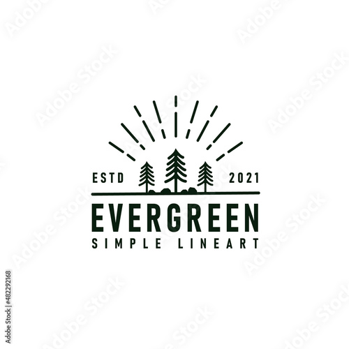 pine evergreen larch pinus tree forest vintage retro hipster line art Logo design template