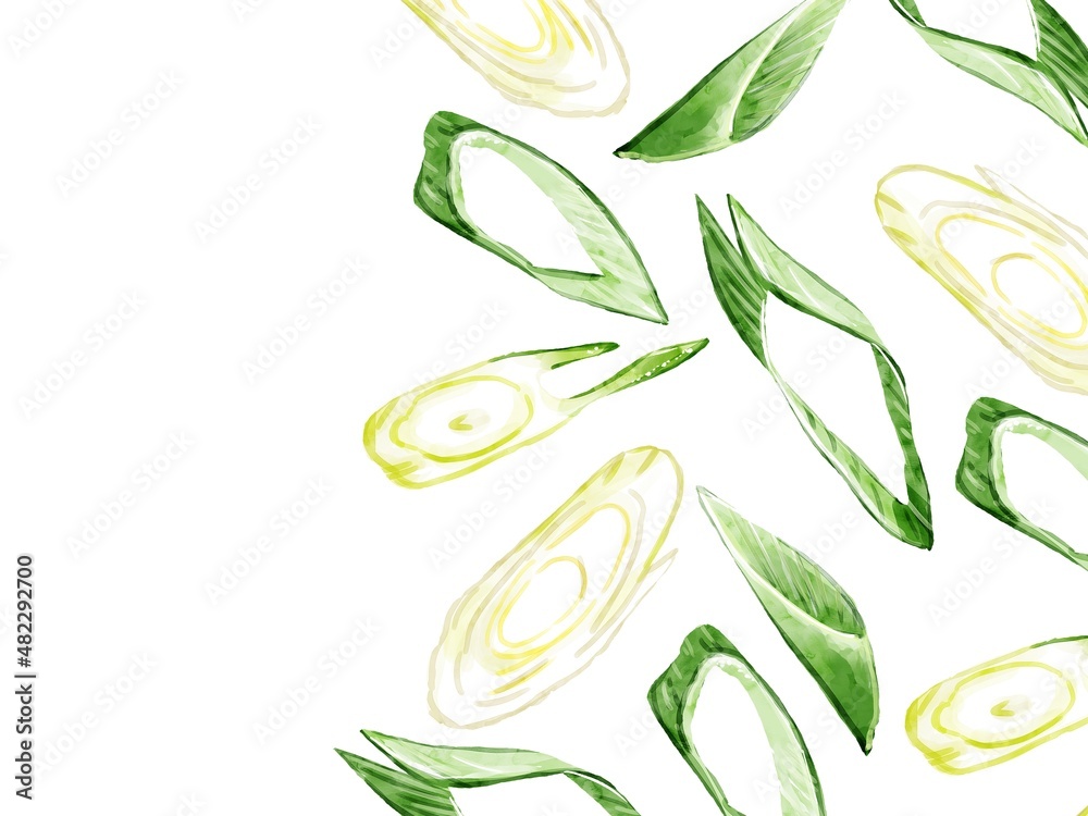 手描き水彩の斜め切りネギイラスト長方形フレーム 右 Stock Illustration Adobe Stock 手描き水彩の斜め切りネギイラスト長方形フレーム 右 Stock Illustration Adobe Stock