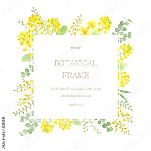 菜の花と黄色い花のフレーム　水彩イラスト