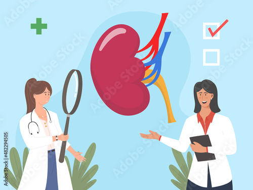 Kidney healthcare. Doctors doing medical research, check health.