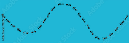 Ants trail. Route or path of worker ants isolated in blue background. Vector illustration © liu_miu