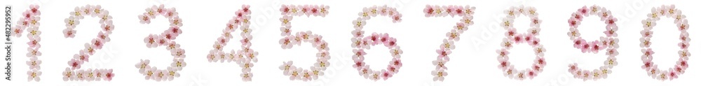 Set of arabic numbers, from natural pink flowers of peach tree, isolated on white background Set of arabic numbers, from natural pink flowers of peach tree, isolated on white background
