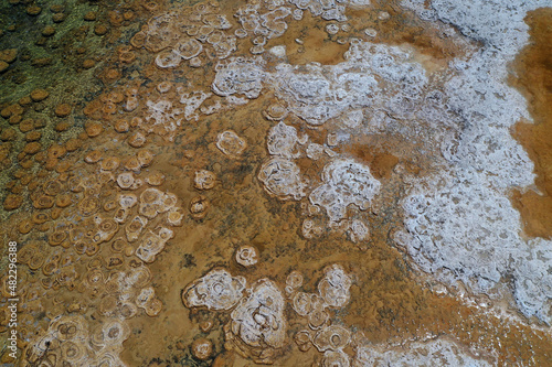 Wallpaper Mural Lake Clifton Thrombolites in Western Australia Torontodigital.ca