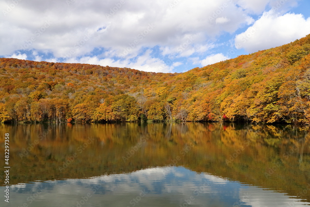 蔦沼の紅葉