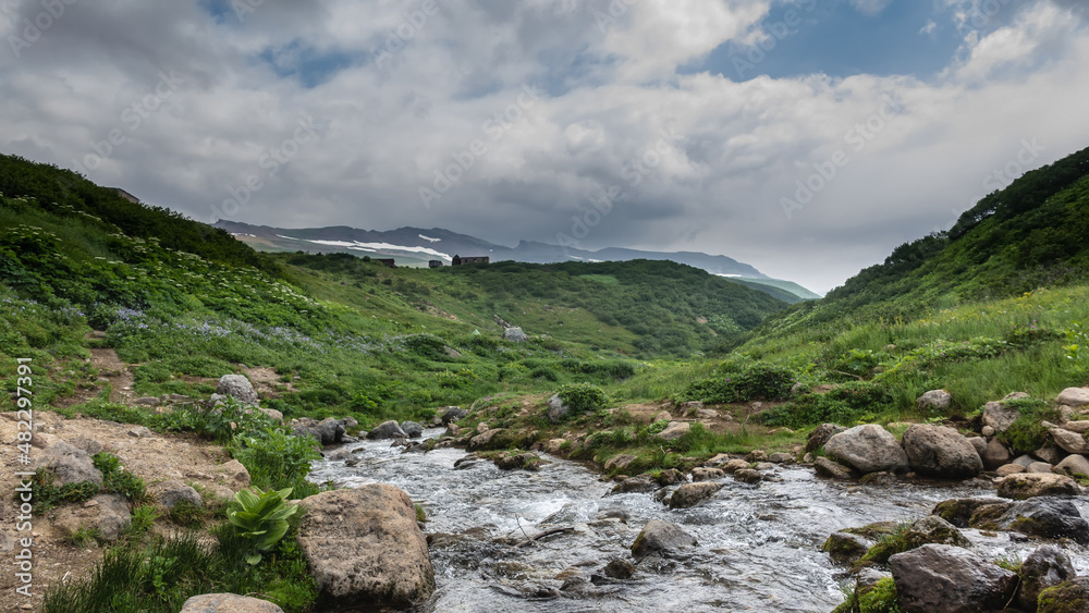 The stream flows in the mountains along a rocky bed. There is lush green vegetation on the slopes. Clouds in the blue sky. Summer day. Kamchatka