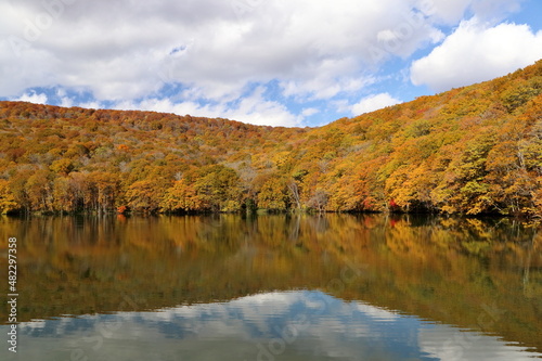 蔦沼の紅葉