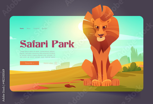 Safari park banner with cute lion in savannah. Vector landing page of nature park of wildlife with cartoon illustration of african savanna landscape with green grass and wild cat