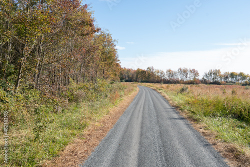 driving motorized vehicle along a hard packed gravel single lane wide unmarked unpainted private road leading to drive way lost on GPS navigation map through an overgrown field and small tree forest photo