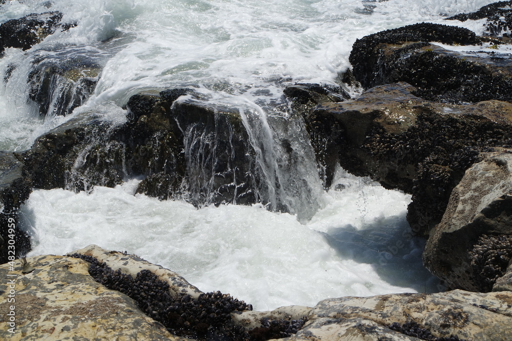 Rocky Shore II, Santa Cruz