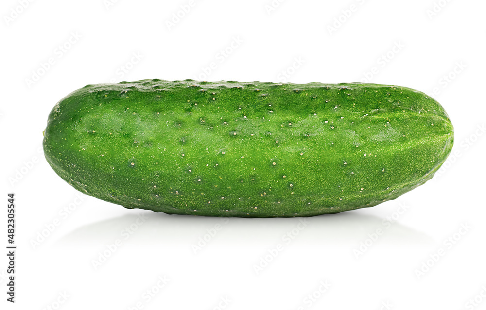 one cucumber on a white isolated background one cucumber on a white isolated background