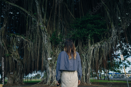 girl on Banyan Drive is a tree-lined street at the shoreline of Hilo, Hawaii photo