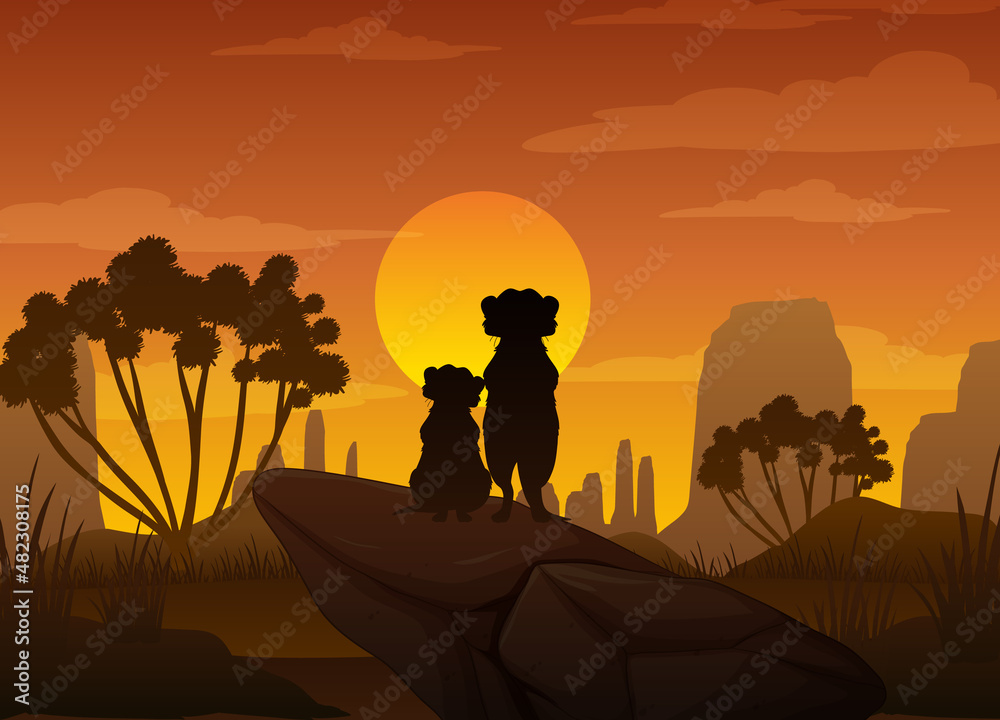 Meerkats silhouette at savanna forest