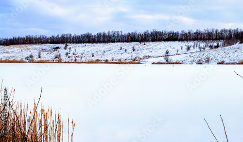 A frozen lake covered with white snow, trees grow along the banks. Ukraine