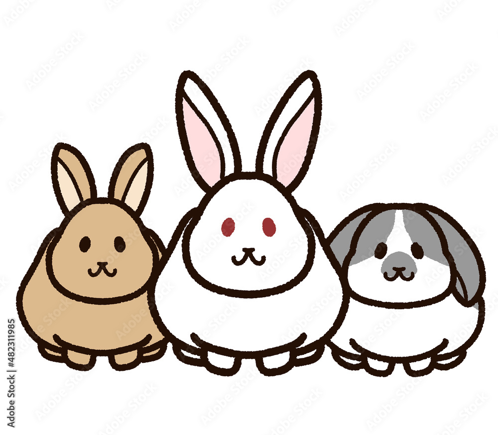 かわいいウサギたち かわいいウサギたち
