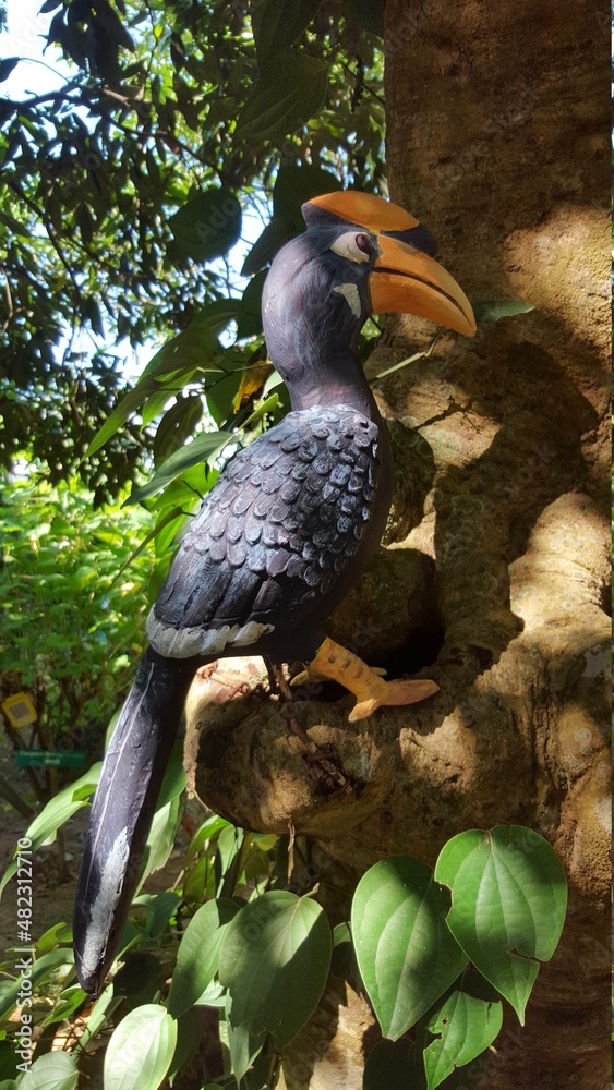 Fototapeta premium yellow billed hornbill