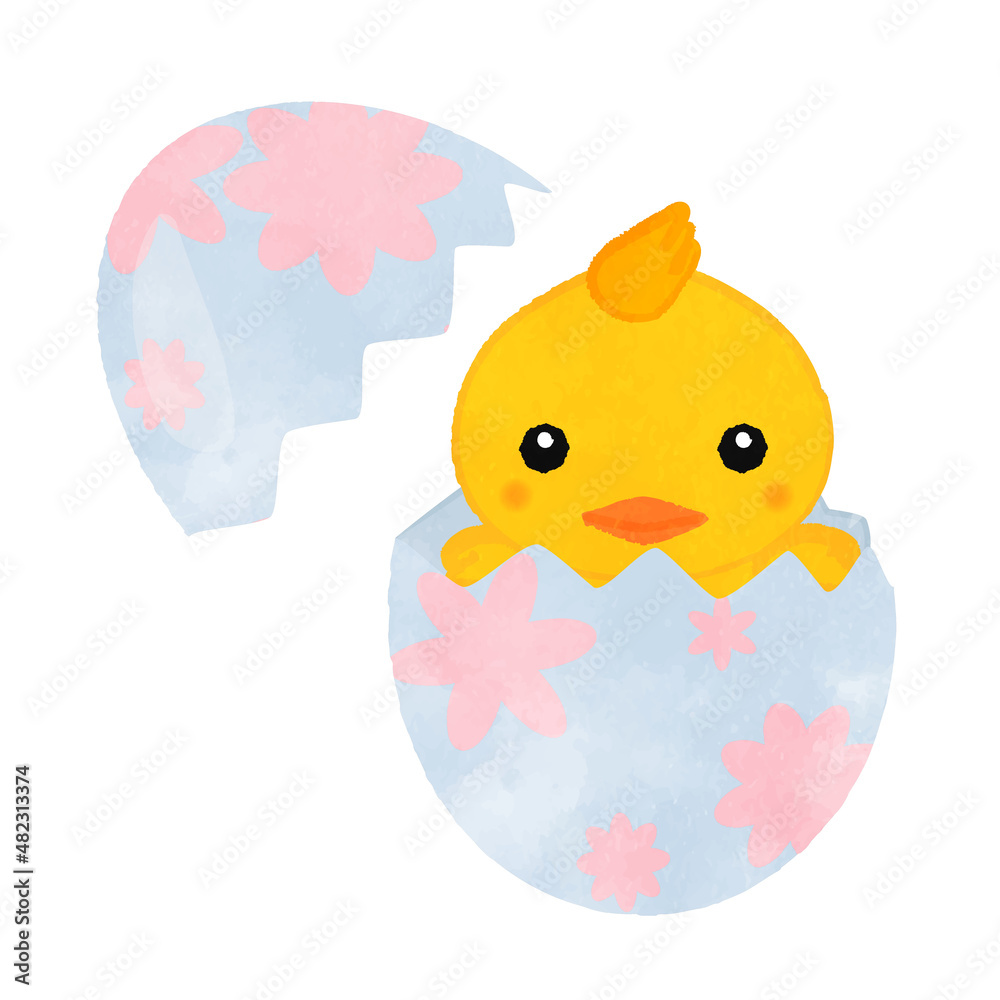 Illustration of a chick coming out of a floral egg 04
