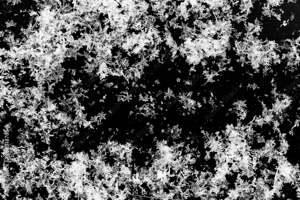 White snowflakes on a black background surface. Macro nature pattern backdrop.