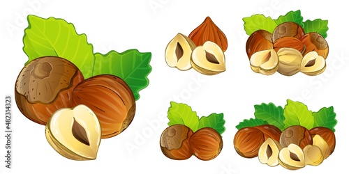 Hazelnut peeled or whole, chopped in halves isolated set on white background