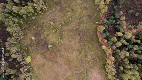 Aerial drone footage flying over a diverse habitat of peat bog and sphagnum moss, a diverse canopy of native forest trees and moorland at Loch Kinord, Muir of Dinnet National Nature Reserve, Scotland photo