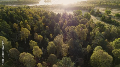 Aerial drone footage rising above a green canopy of forest trees over peat bog, moorland and fields revealing a sunrise reflecting in Loch Kinord, at Muir of Dinnet National Nature Reserve, Scotland photo