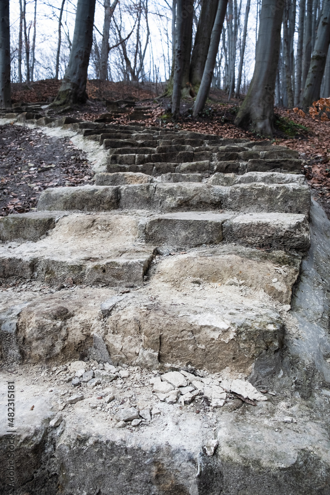 view of old stone stairs in autumn spring forest view of old stone stairs in autumn spring forest