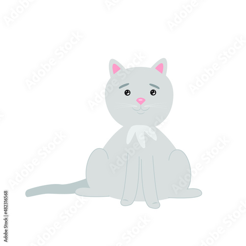 Cute grey cat. Vector illustration sweet kitten.