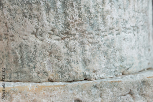 Cheese with blue mold. Gorgonzola. Homemade.