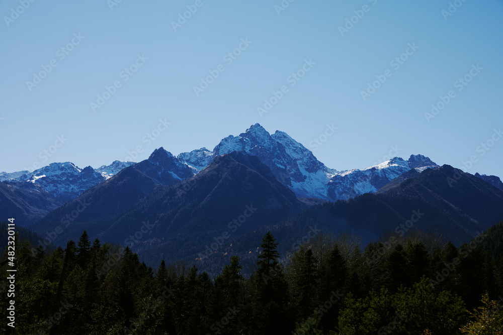 mountain forest panorama open air summer vacation ecology mountain forest panorama open air summer vacation ecology