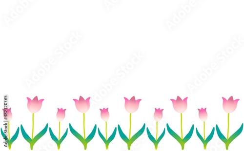 チューリップの背景