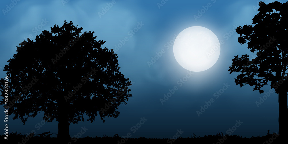 Fototapeta premium tree silhouette with full moon