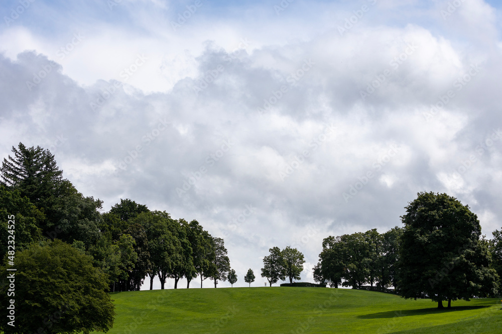 grüne wiese, bewölkter Himmel, bäume, Wolken, grau