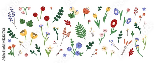 Modern blossomed flowers set. Abstract blooming floral plants and leaf. Fresh summer floristry, leaves. Nature design elements. Colored flat graphic vector illustrations isolated on white background