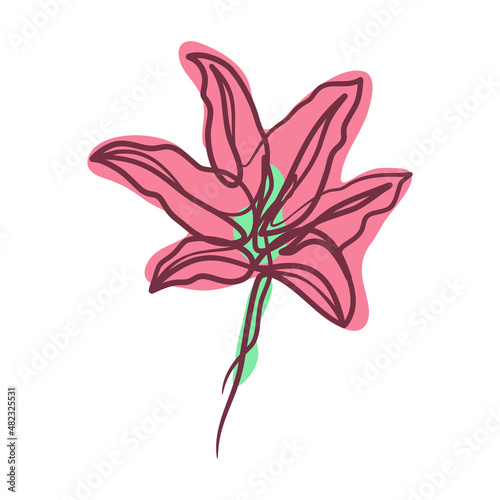 Fototapeta Naklejka Na Ścianę i Meble -  Abstract flower in continuous line art drawing style
