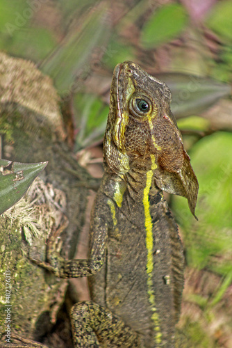 Belize