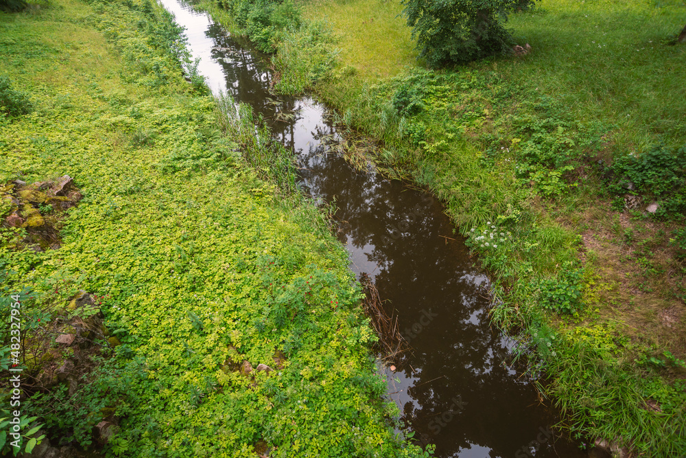 forest water stream forest water stream