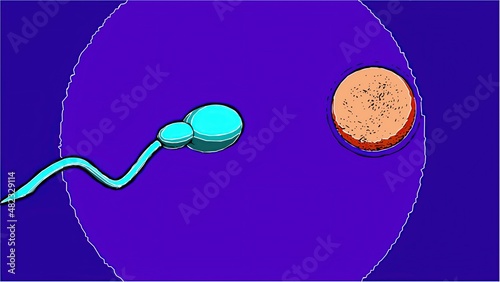 3d illustration in comic style - sperm and fertile human egg. Insemination concept. photo