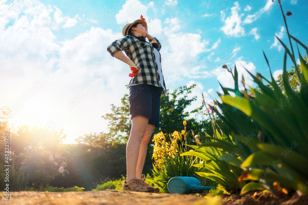 Caucasian woman stands near a flowering iris bush, holding her back in pain. A watering can is lying on the ground. Bottom view. The concept of back health problems Caucasian woman stands near a flowering iris bush, holding her back in pain. A watering can is lying on the ground. Bottom view. The concept of back health problems