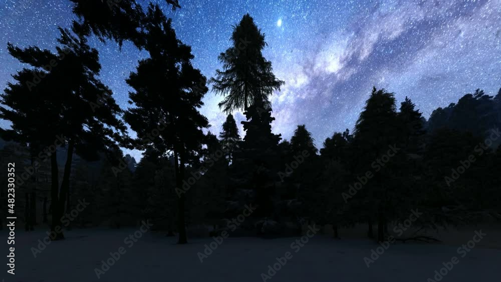 Pan of a forest night sky snowfall