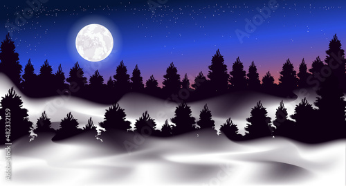 Vector illustration. Foggy forest. Starry sky. Moon.