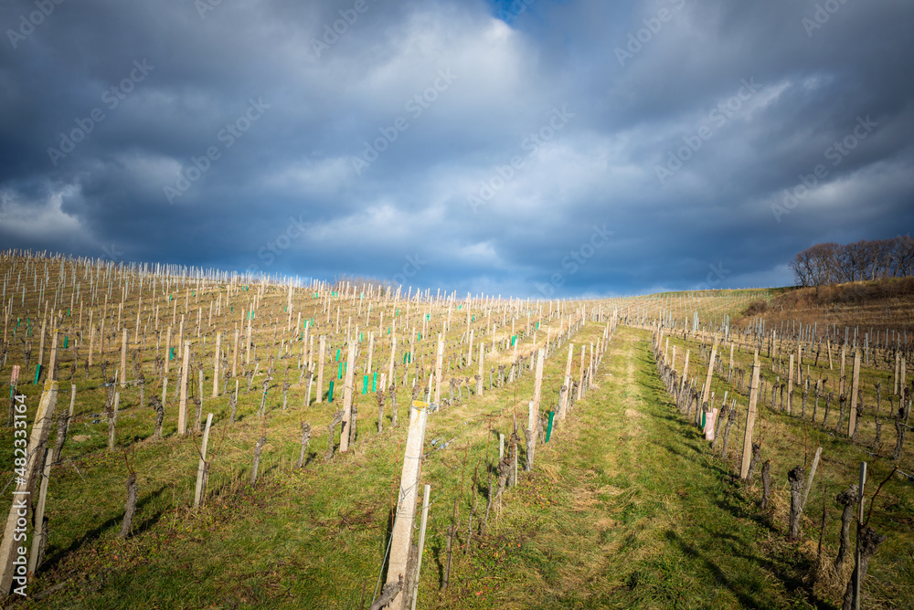  Stormy weather at vineyards in Burgenland