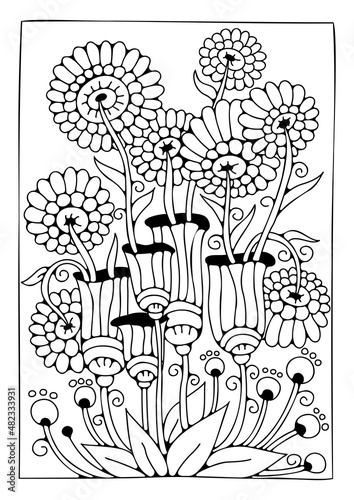 Coloring page. Black and white flowers for coloring. Vector art line background.