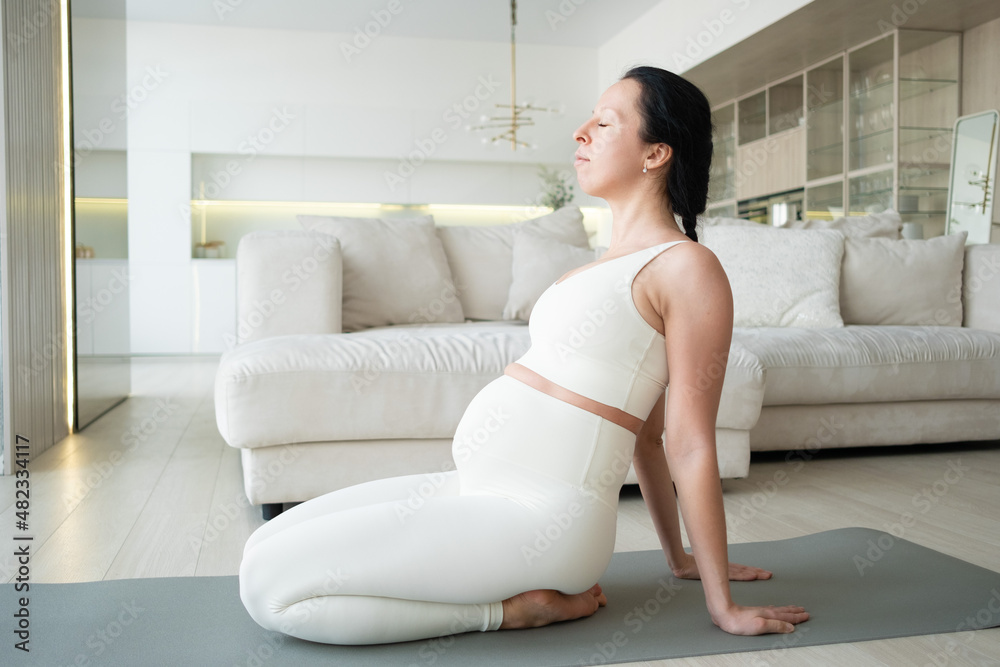 A pregnant woman in the living room at home is doing a twine exercise. Fitness during pregnancy. A pregnant woman in the living room at home is doing a twine exercise. Fitness during pregnancy.