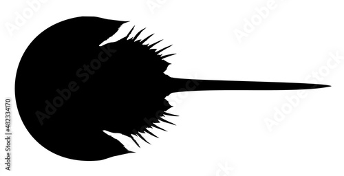 silhouette of an animal horseshoe crab
