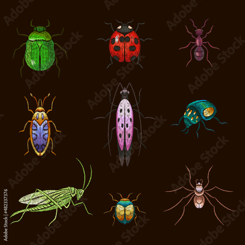 Insect stitch. Bug patch, insects embroidery. Ladybug and grasshopper, garden wild animal stitched set. Art decorative stickers for cloth nowaday vector set