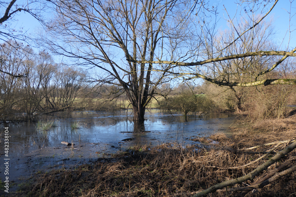 Überflutete Fluss Landschaft