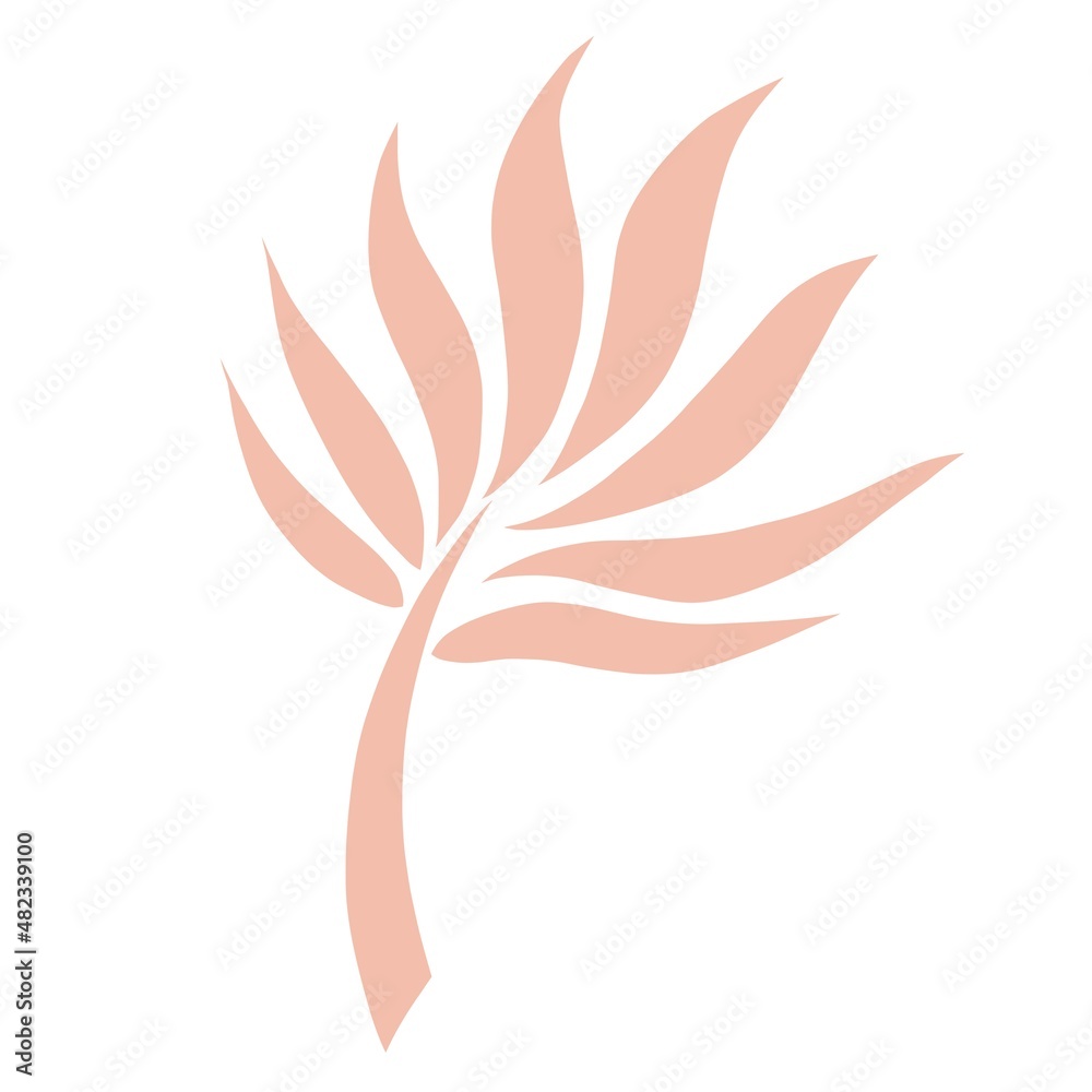 Obraz premium Tropical leaf illustration isolated on white background 