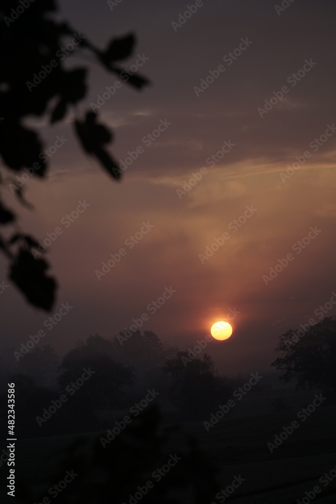 sunset in the sky sunset in the sky
