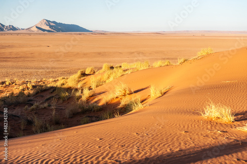 The rising sun is casting long shadows across the Dune Landscape of the Khomas Region in Central Western Namibia. photo
