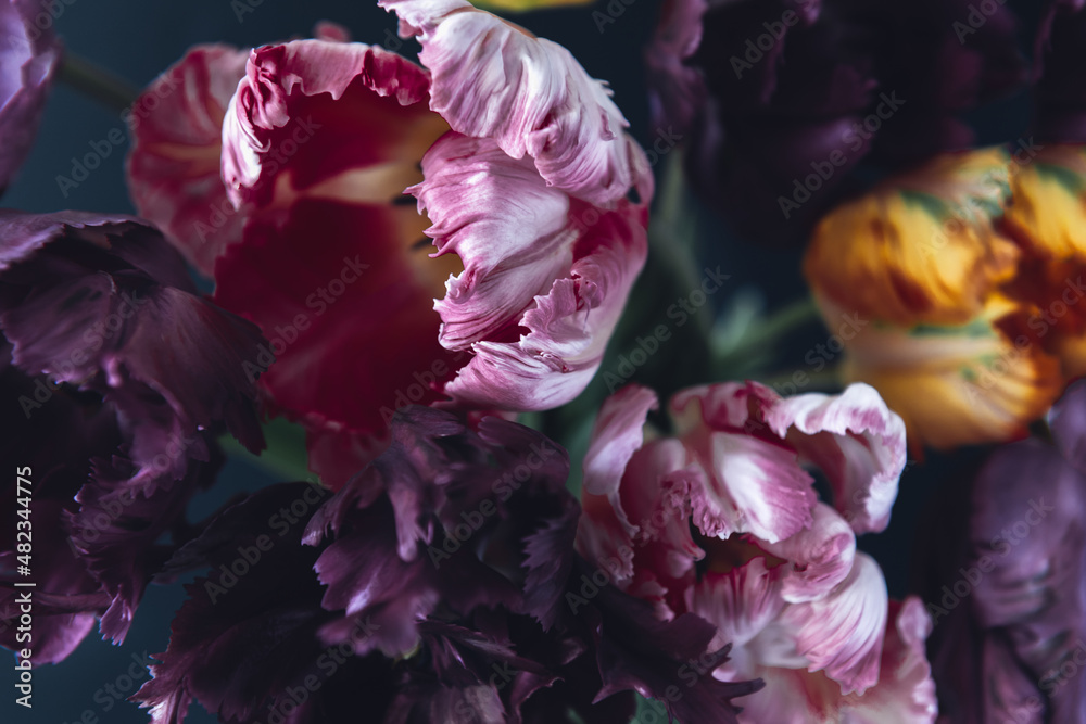 Obraz premium Bunch of Parrot Style Tulips