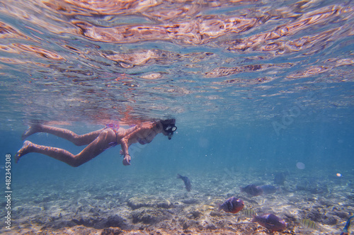 Young woman snorkeling underwater in the sea corals and fishes.
